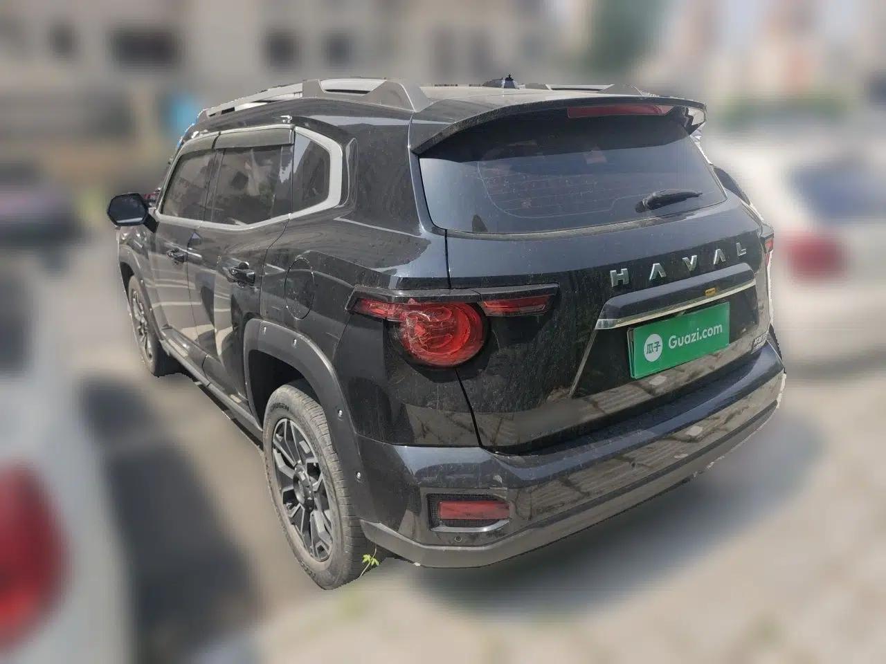 Haval H Dog New Energy 2023 DHT-PHEV 105km Tide Electric Version Plus — миниатюра 4