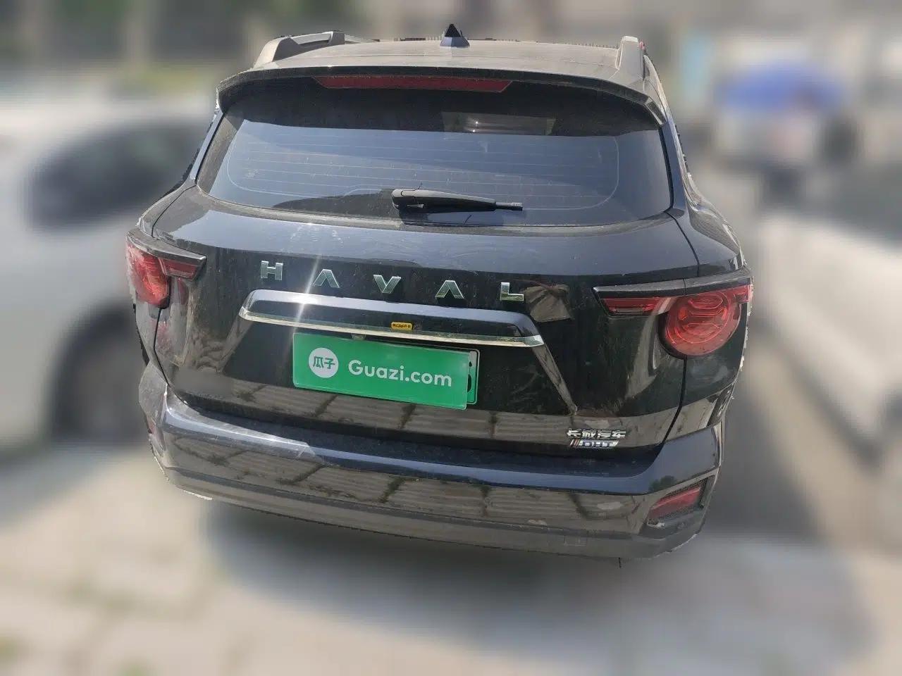 Haval H Dog New Energy 2023 DHT-PHEV 105km Tide Electric Version Plus — миниатюра 5