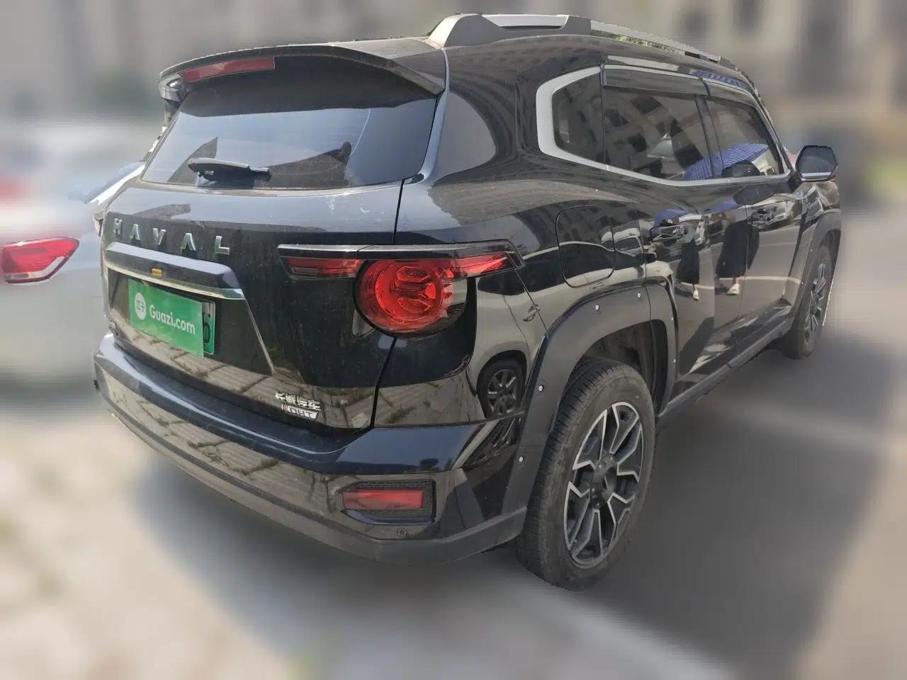 Haval H Dog New Energy 2023 DHT-PHEV 105km Tide Electric Version Plus — миниатюра 6