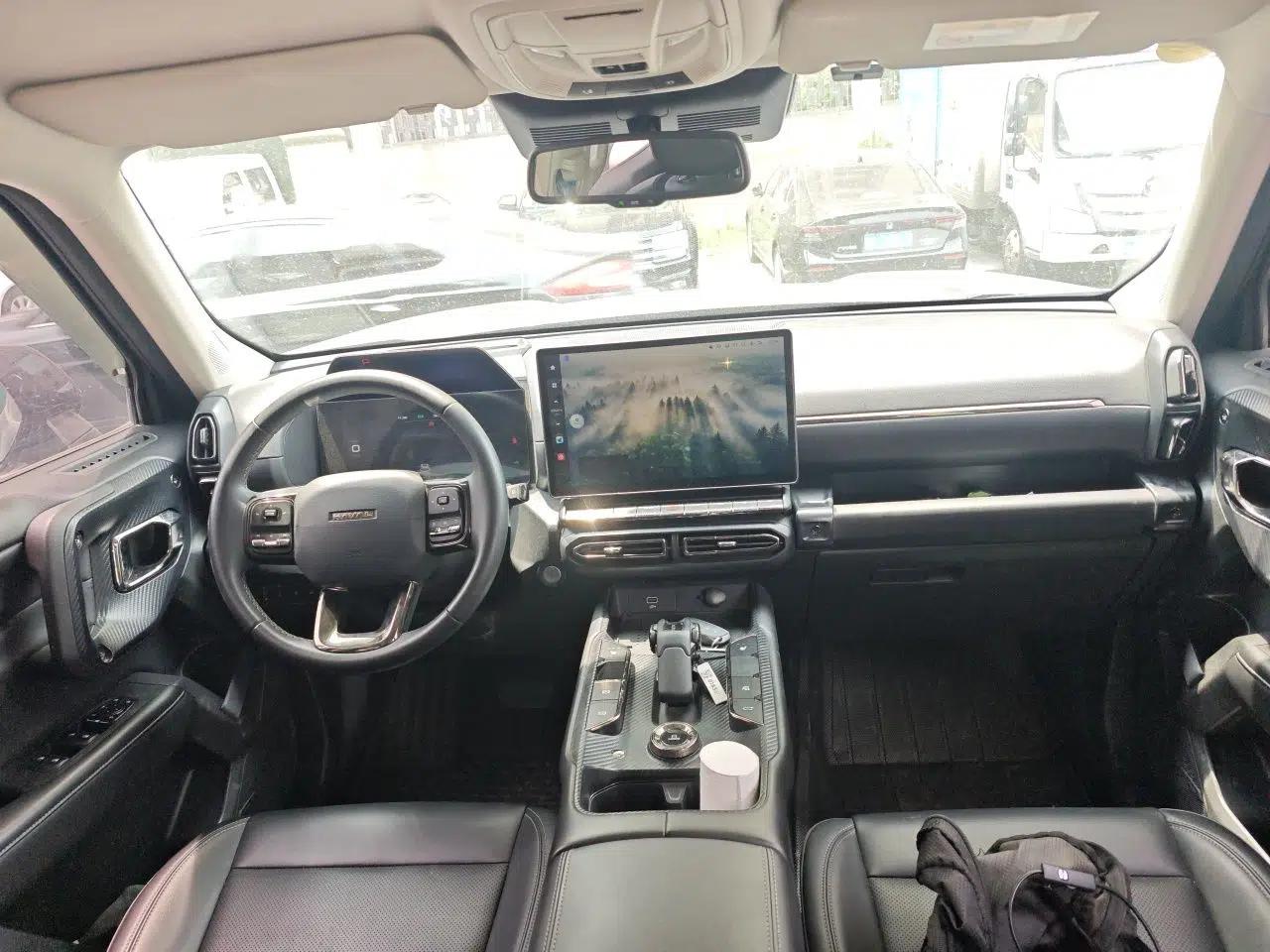 Haval H Dog New Energy 2023 DHT-PHEV 105km Tide Electric Version Plus — миниатюра 10
