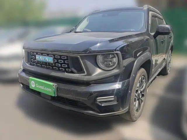 Haval H Dog New Energy 2023 DHT-PHEV 105km Tide Electric Version Plus