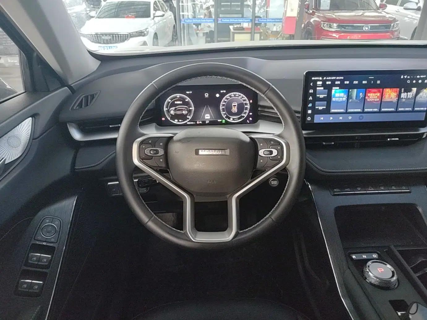 Haval H6 New Energy 2023 DHT-PHEV 110KM Enjoyment Edition — миниатюра 14