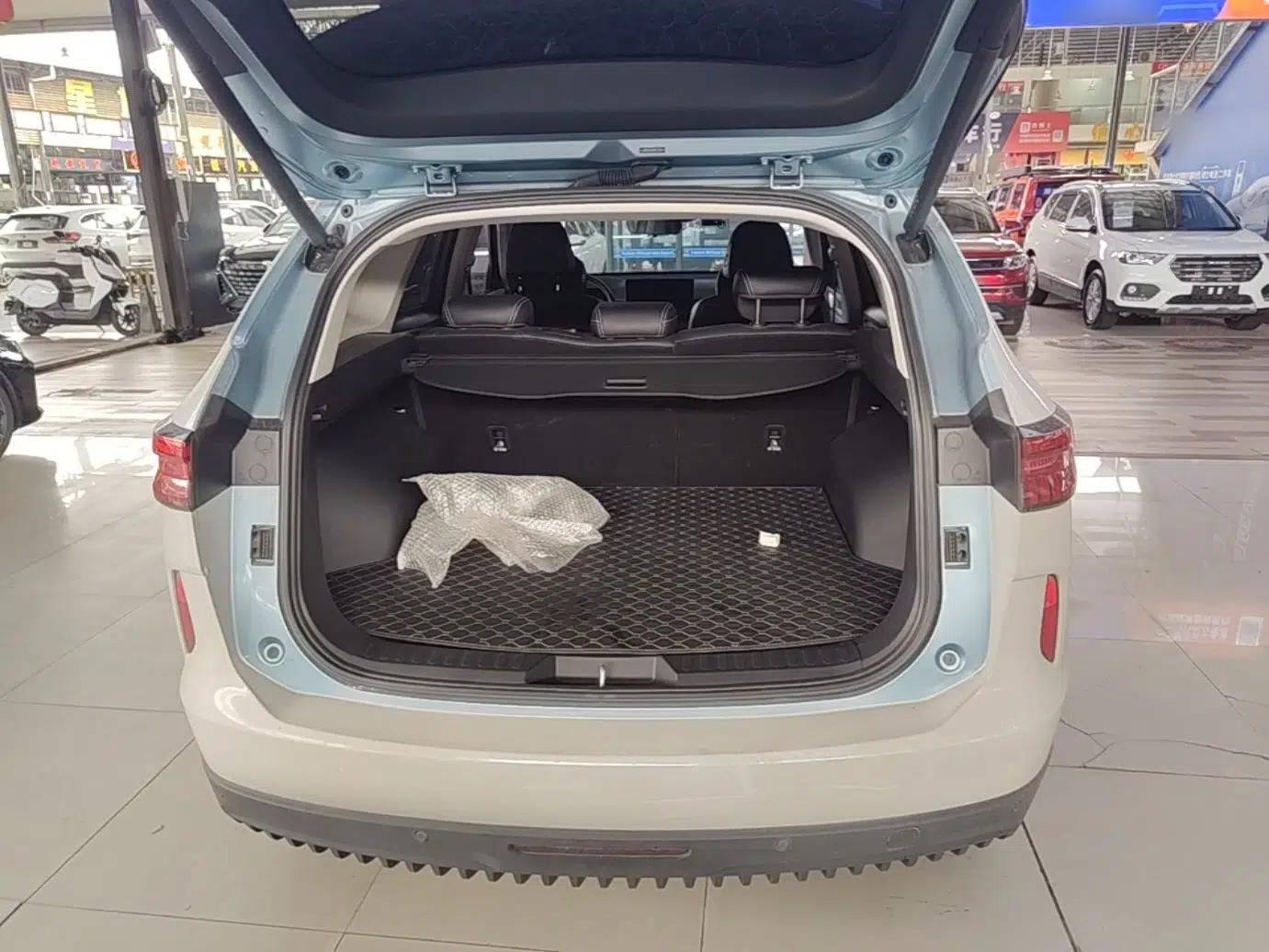 Haval H6 New Energy 2023 DHT-PHEV 110KM Enjoyment Edition — миниатюра 22