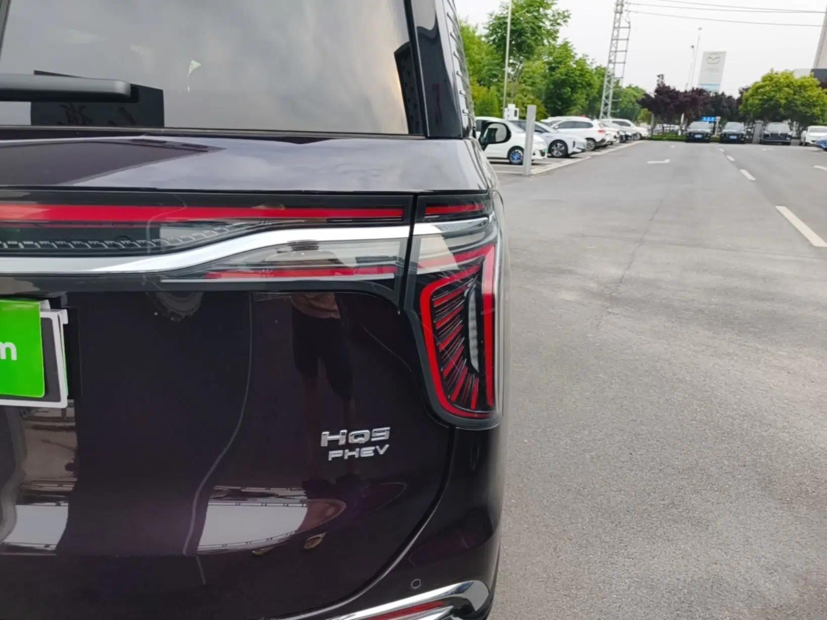 Hongqi HQ9 PHEV 2024 2.0T Four-Wheel Drive Luxury Edition — миниатюра 8