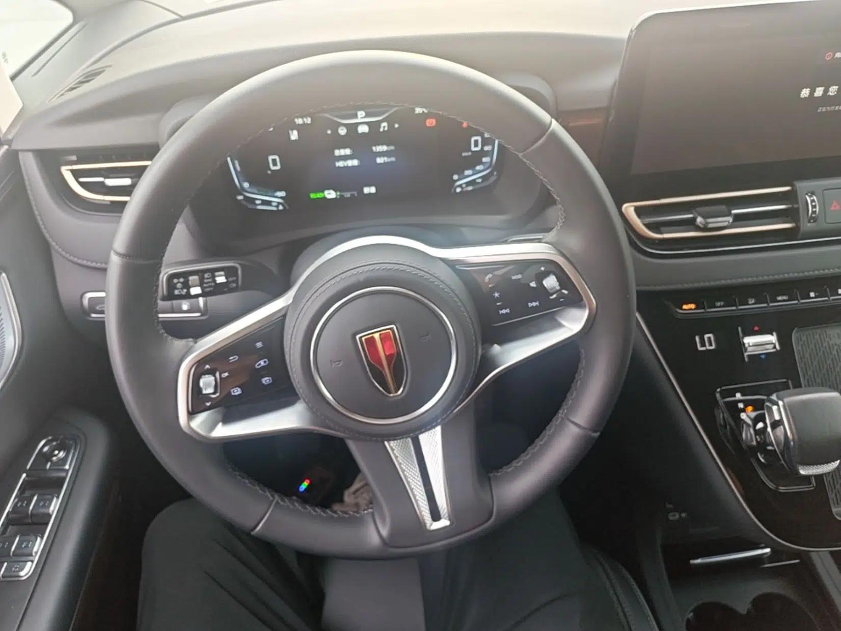 Hongqi HQ9 PHEV 2024 2.0T Four-Wheel Drive Luxury Edition — миниатюра 14