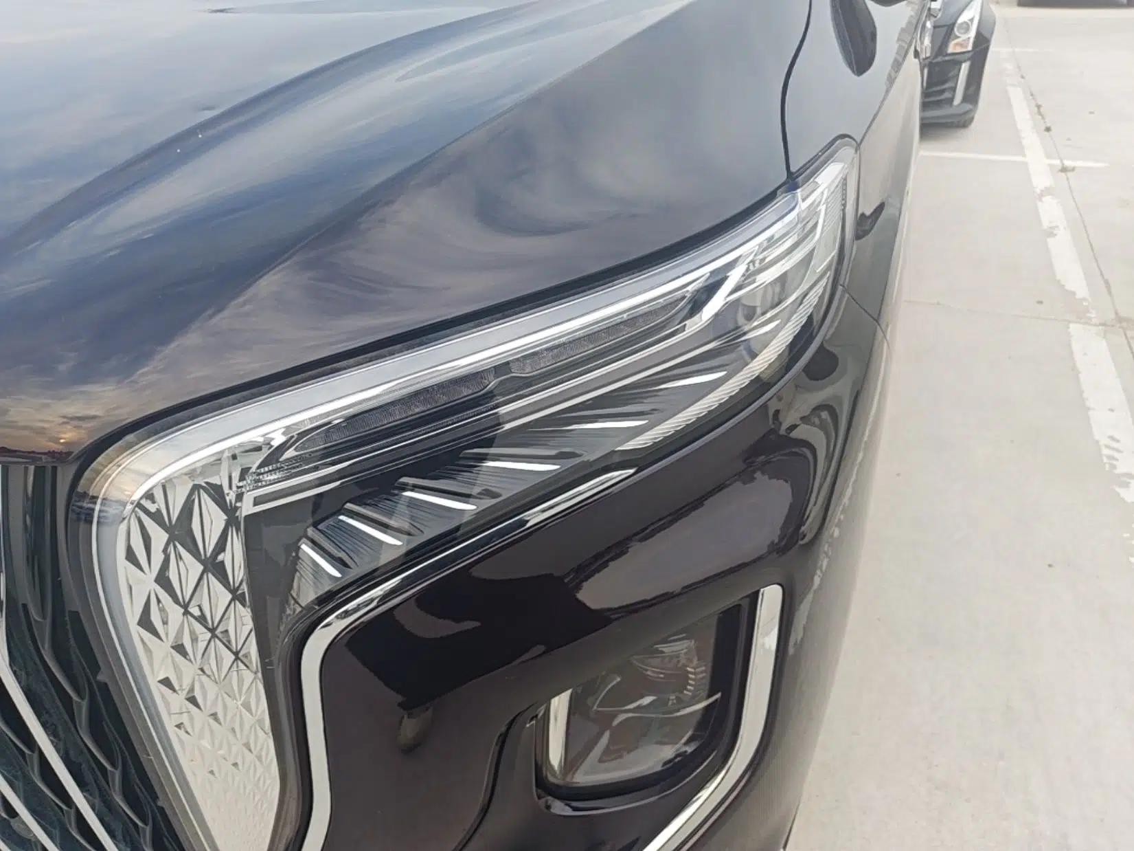 Hongqi HQ9 PHEV 2024 2.0T Four-Wheel Drive Luxury Edition — миниатюра 9