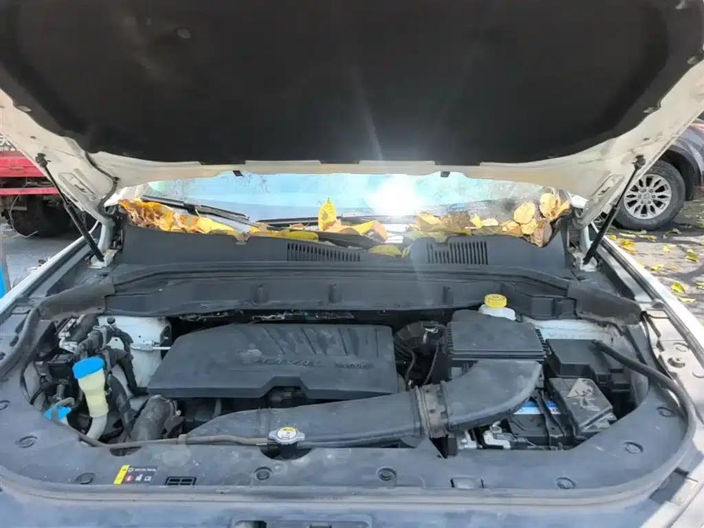 Haval F5 2018 1.5T i-Fan — миниатюра 20