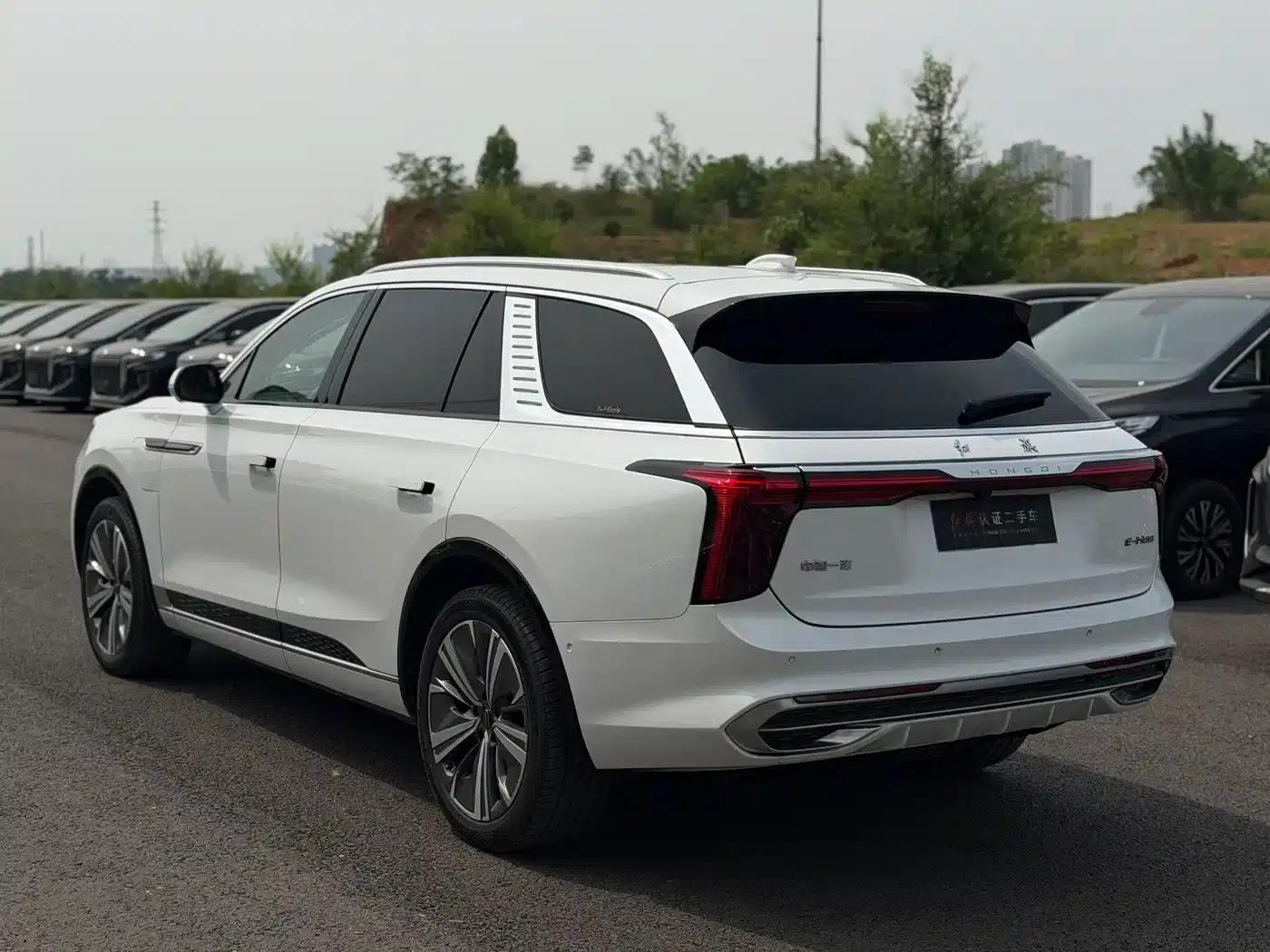 Hongqi E-HS9 2021 Model 460km Flagship Edition 7-Seater — миниатюра 13