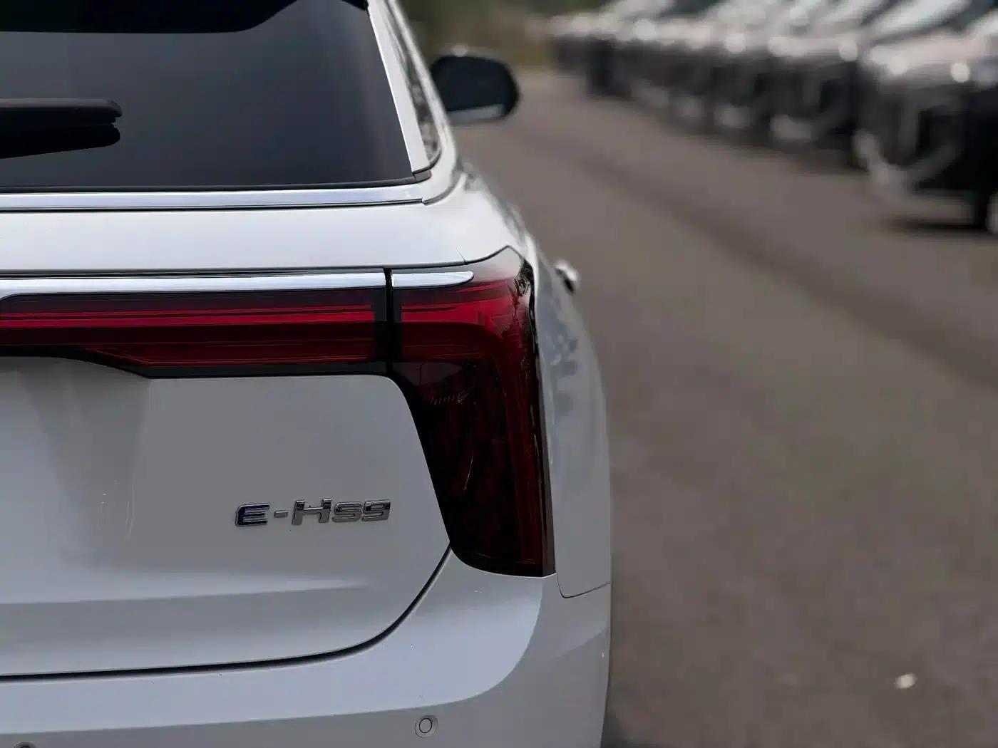 Hongqi E-HS9 2021 Model 460km Flagship Edition 7-Seater — миниатюра 16