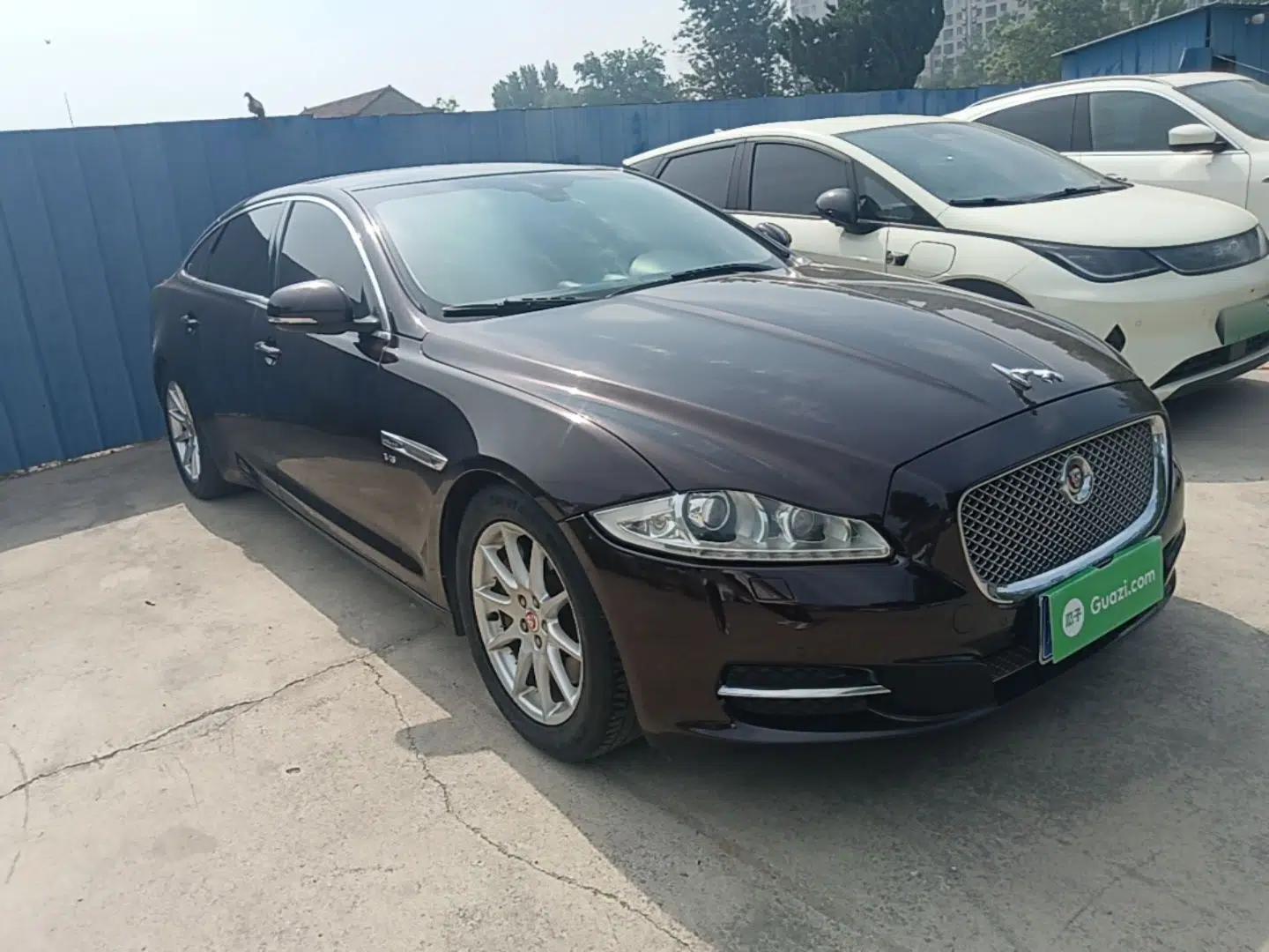 Jaguar XJ 2015 XJL 3.0 SC Elegant Business 80th Anniversary Limited Edition — миниатюра 6