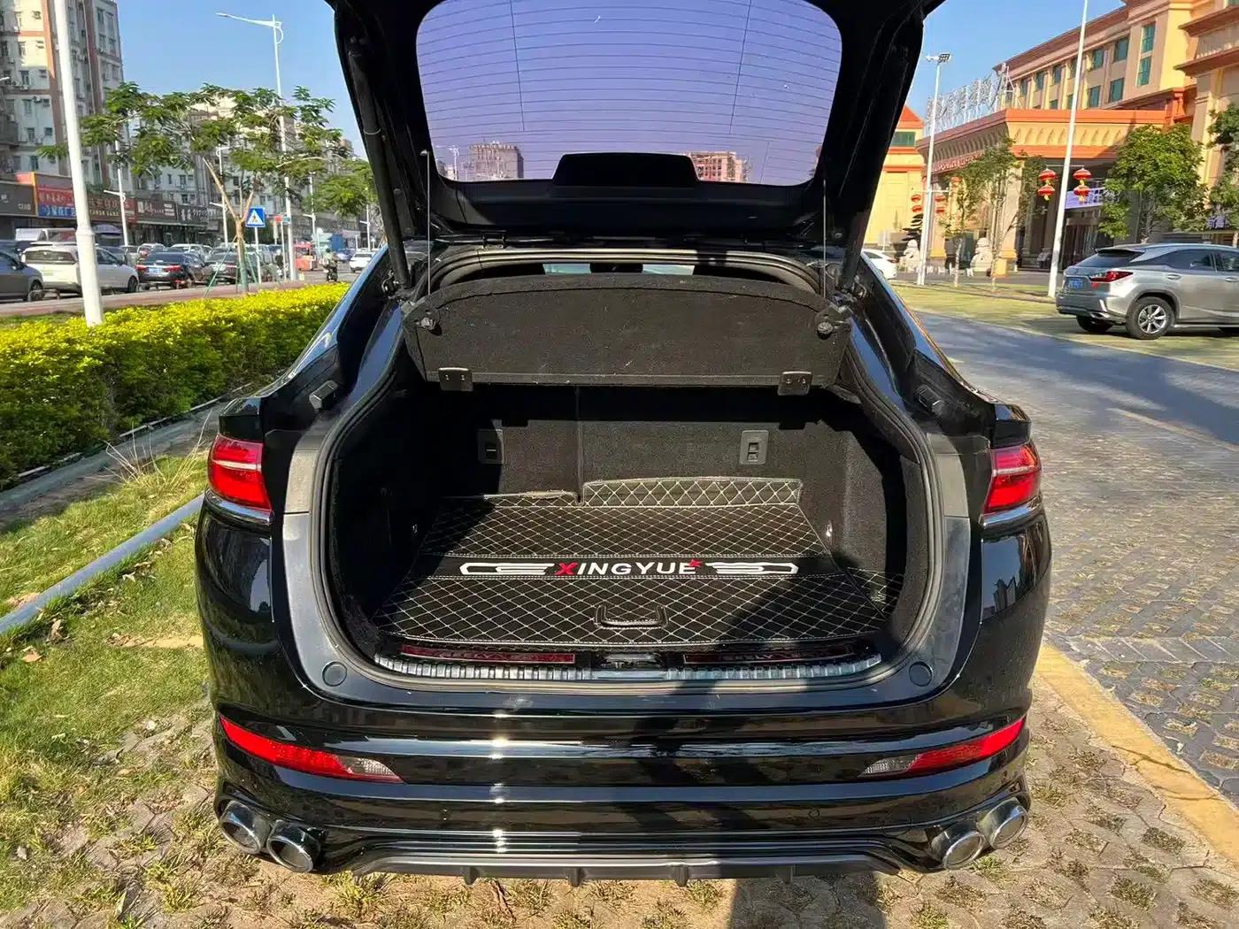 Xingyue 2019 350T Dark Knight Limited Edition — миниатюра 9