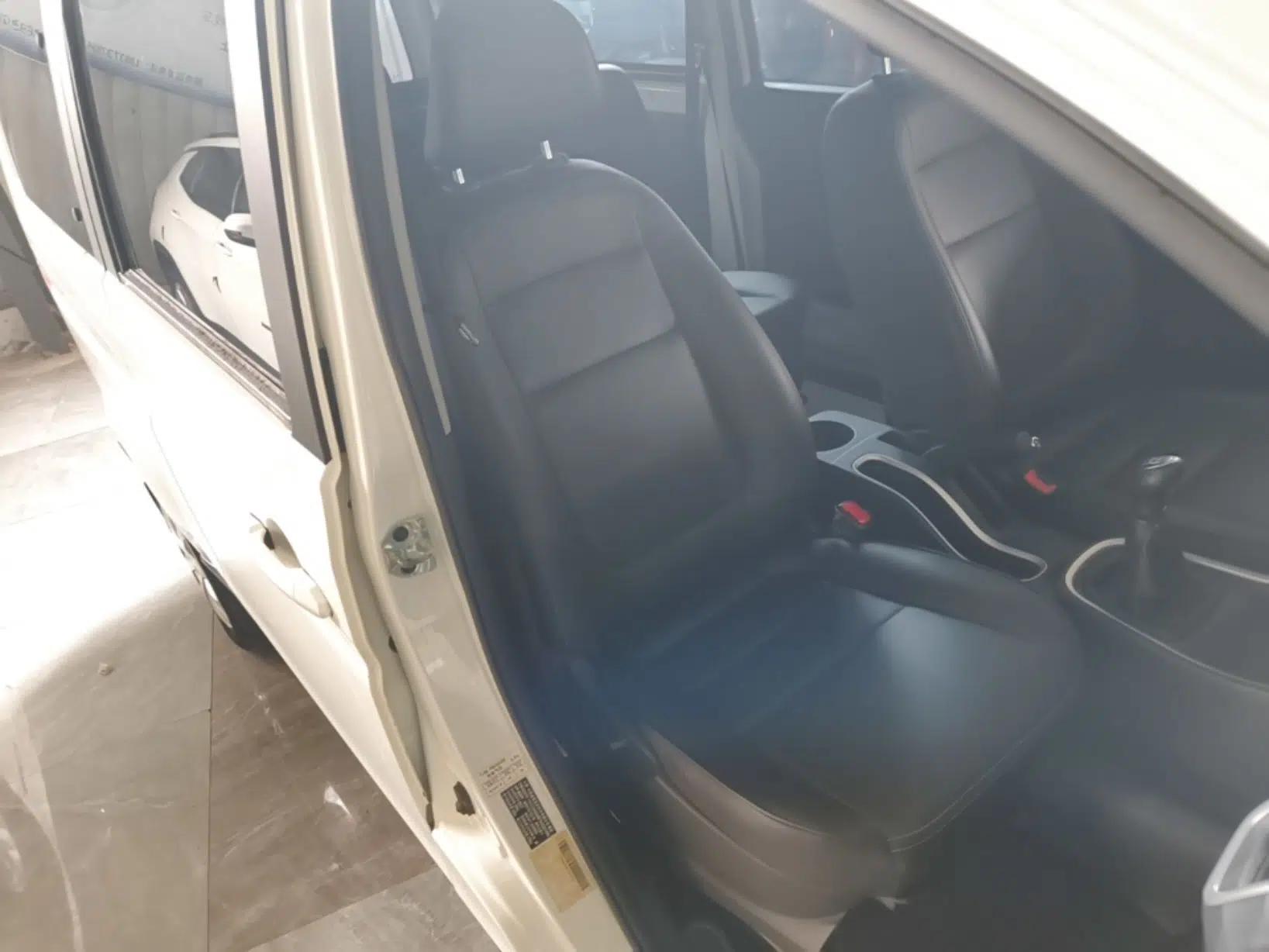 Jinbei Gold Hiace M Classic 2022 Panda Edition 1.5L Travel Lion Passenger Van 6 Seats — миниатюра 23