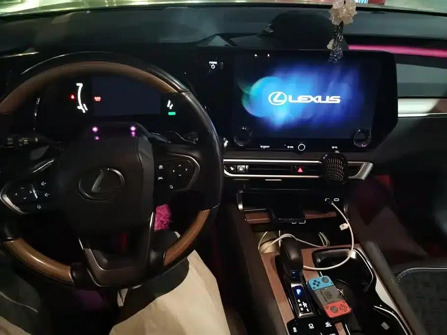 Lexus RX Hybrid 2023 450h+ AWD Enjoy Edition — миниатюра 12