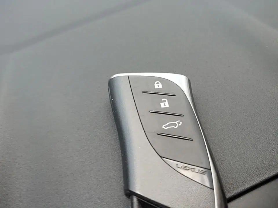 Lexus RZ 2023 450e All-Wheel Drive Luxury Edition — миниатюра 12