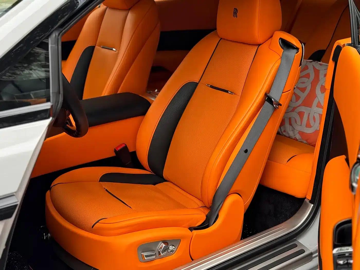 2018 Phantom 6.6T Standard Edition — миниатюра 13