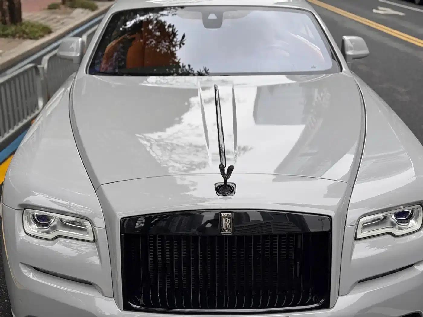 2018 Phantom 6.6T Standard Edition — миниатюра 17