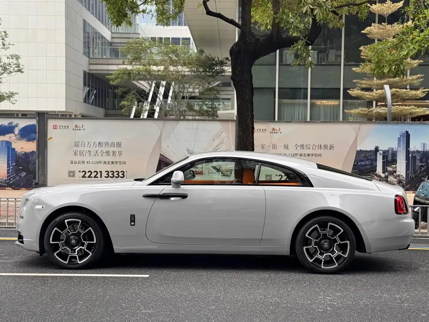 2018 Phantom 6.6T Standard Edition — миниатюра 19