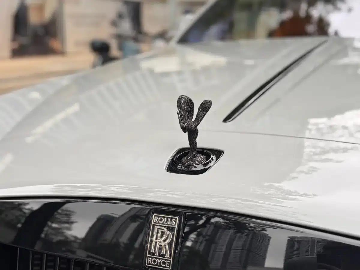 2018 Phantom 6.6T Standard Edition — миниатюра 6
