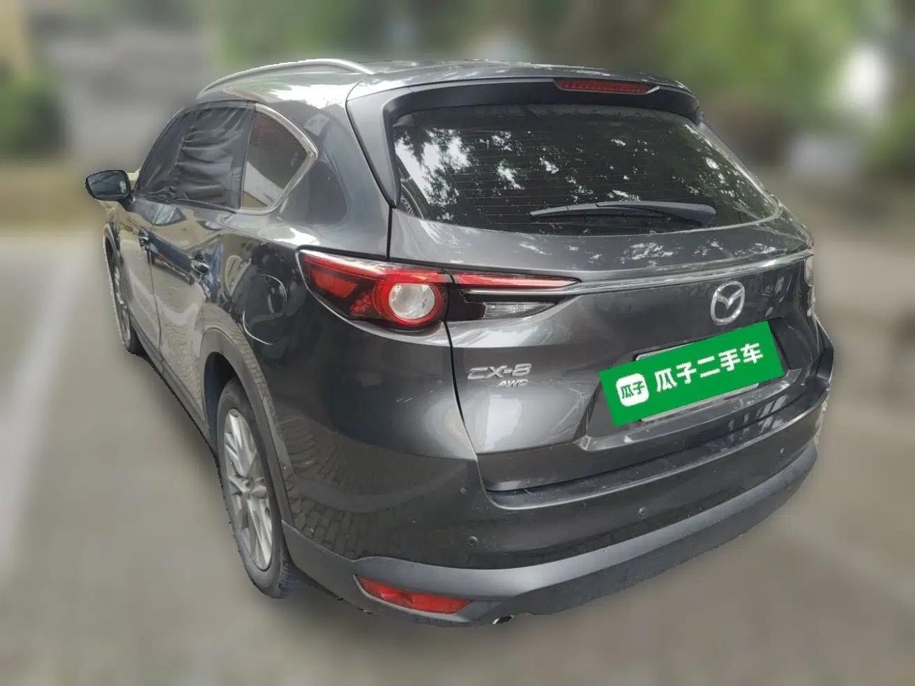 Mazda CX-8 2019 2.5L Four-Wheel Drive Deluxe Edition — миниатюра 4