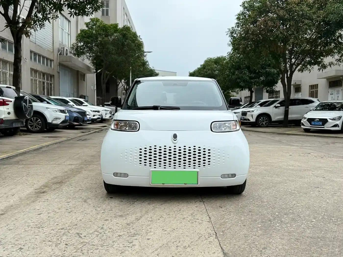ORA White Cat 2020 Model 401km Flagship Edition — миниатюра 2