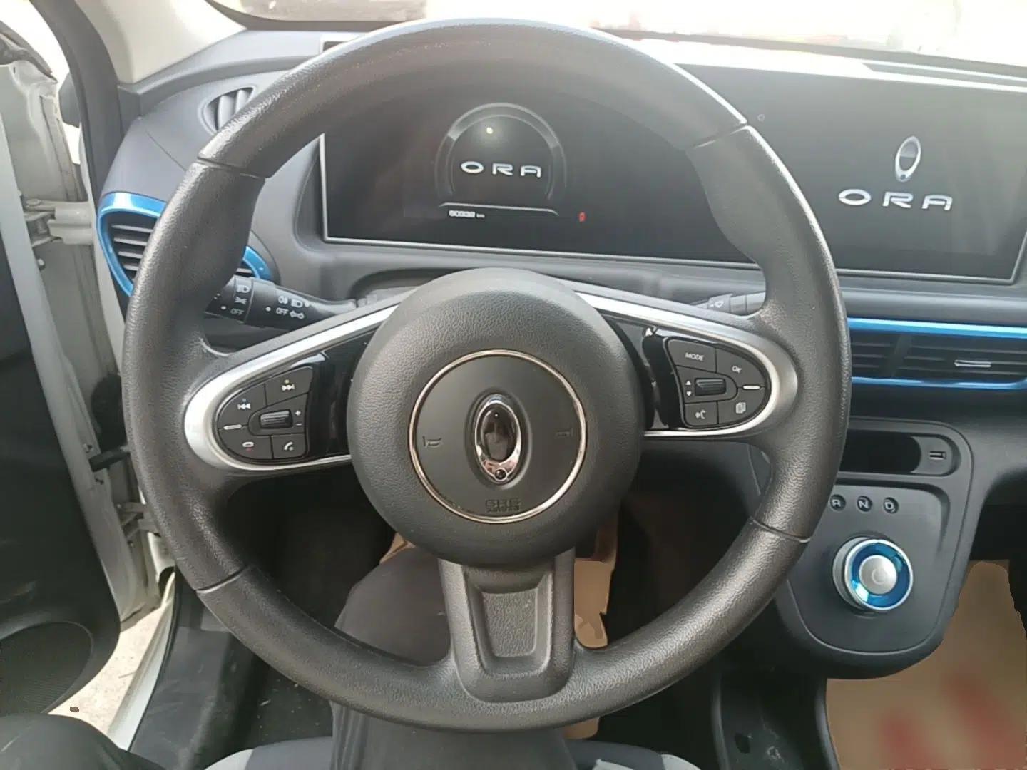 ORA White Cat 2020 305 km Luxury Version — миниатюра 14