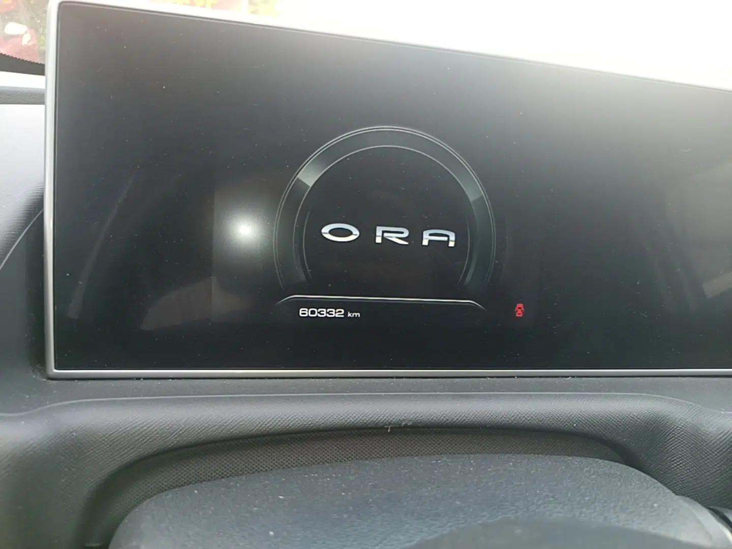 ORA White Cat 2020 305 km Luxury Version — миниатюра 15