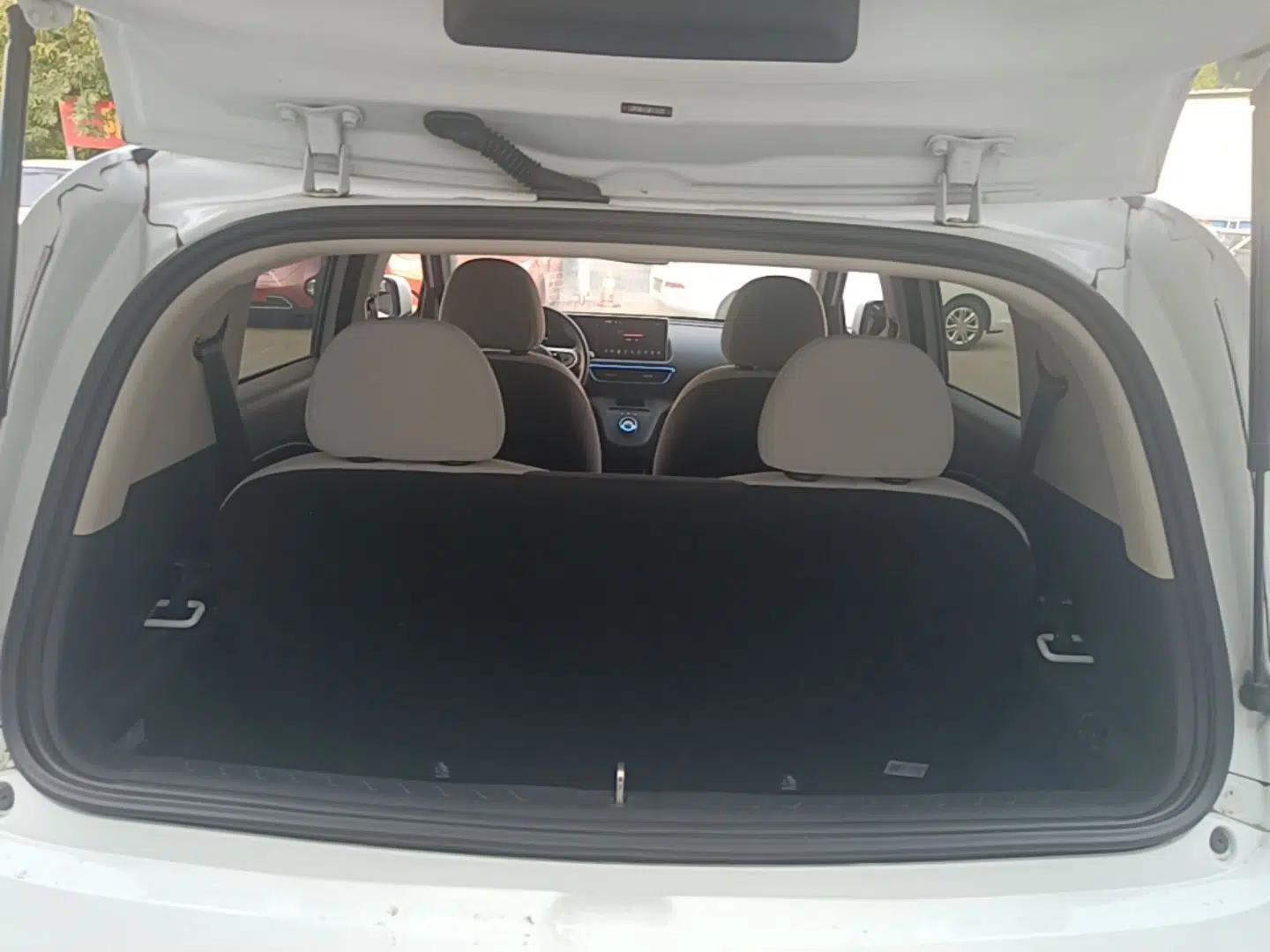 ORA White Cat 2020 305 km Luxury Version — миниатюра 22