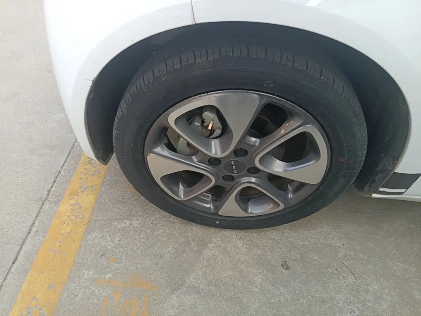 ORA White Cat 2020 305 km Luxury Version — миниатюра 8