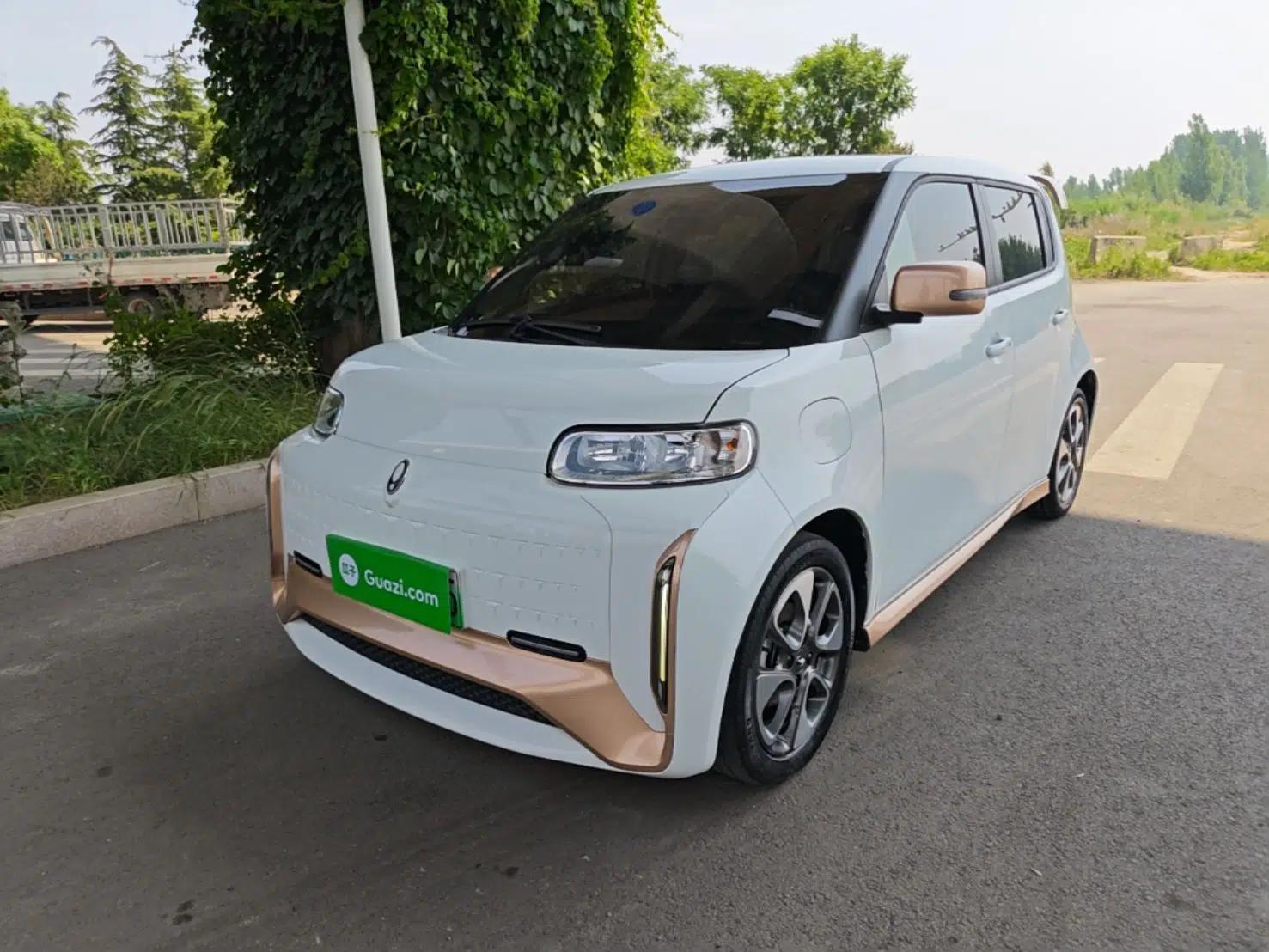 ORA White Cat 2022 Xiaoyue Mao Edition 360 km Luxury Model Lithium NMC — миниатюра 1