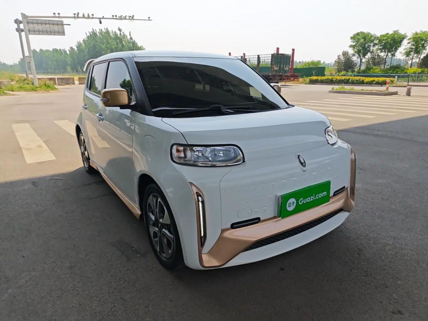ORA White Cat 2022 Xiaoyue Mao Edition 360 km Luxury Model Lithium NMC — миниатюра 3