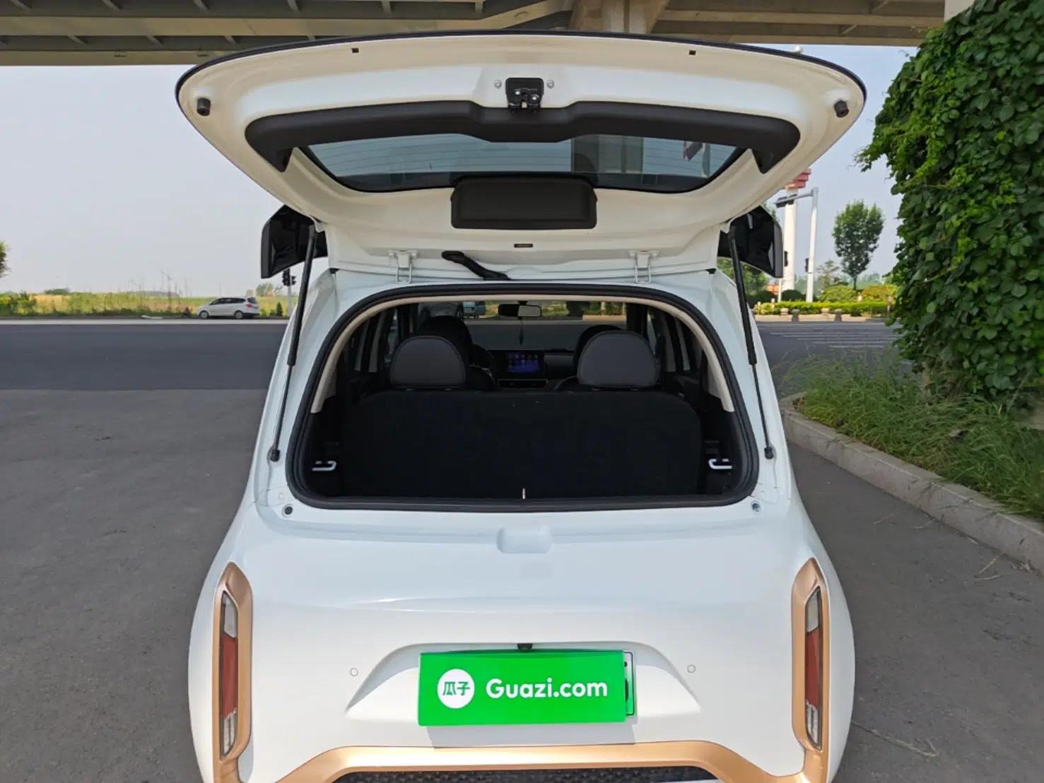 ORA White Cat 2022 Xiaoyue Mao Edition 360 km Luxury Model Lithium NMC — миниатюра 22