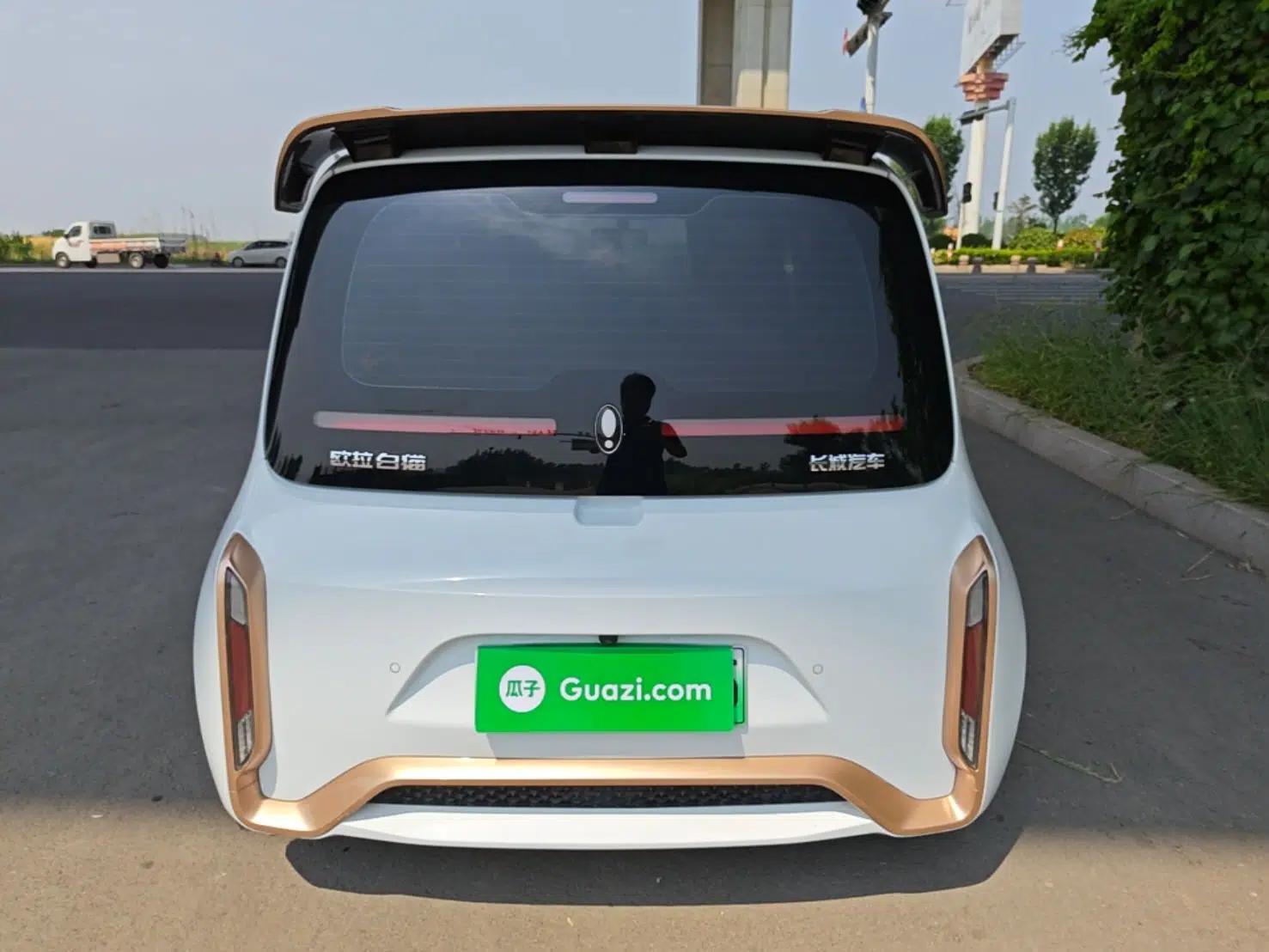 ORA White Cat 2022 Xiaoyue Mao Edition 360 km Luxury Model Lithium NMC — миниатюра 5