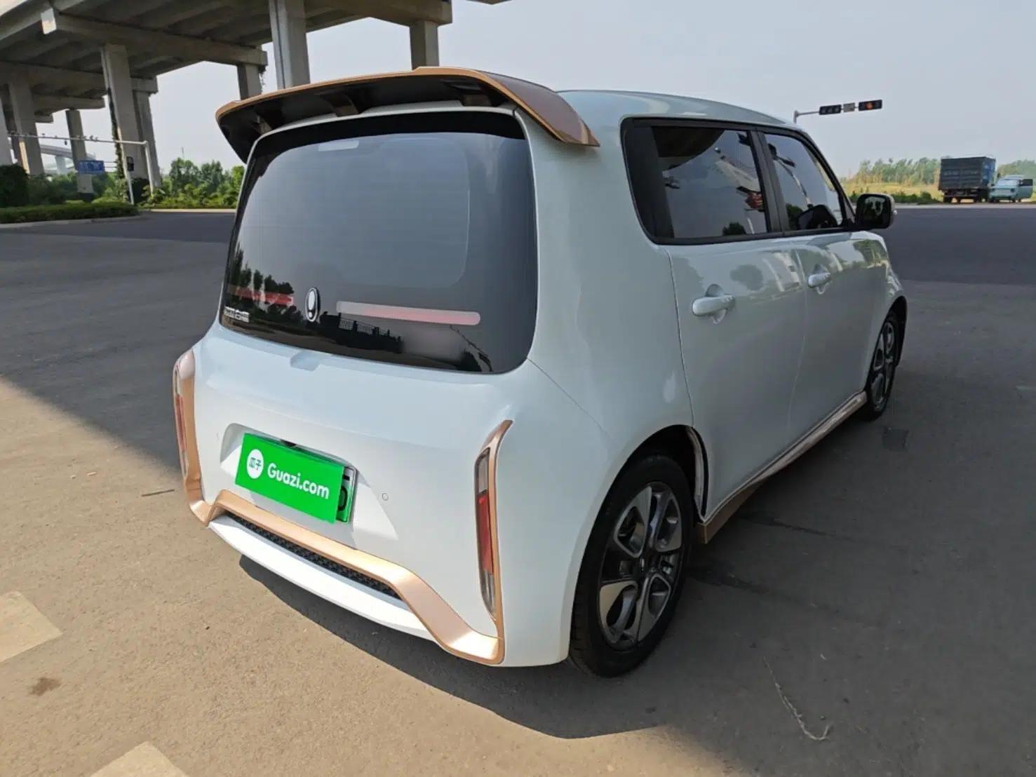 ORA White Cat 2022 Xiaoyue Mao Edition 360 km Luxury Model Lithium NMC — миниатюра 6