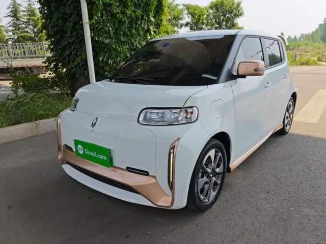 ORA White Cat 2022 Xiaoyue Mao Edition 360 km Luxury Model Lithium NMC
