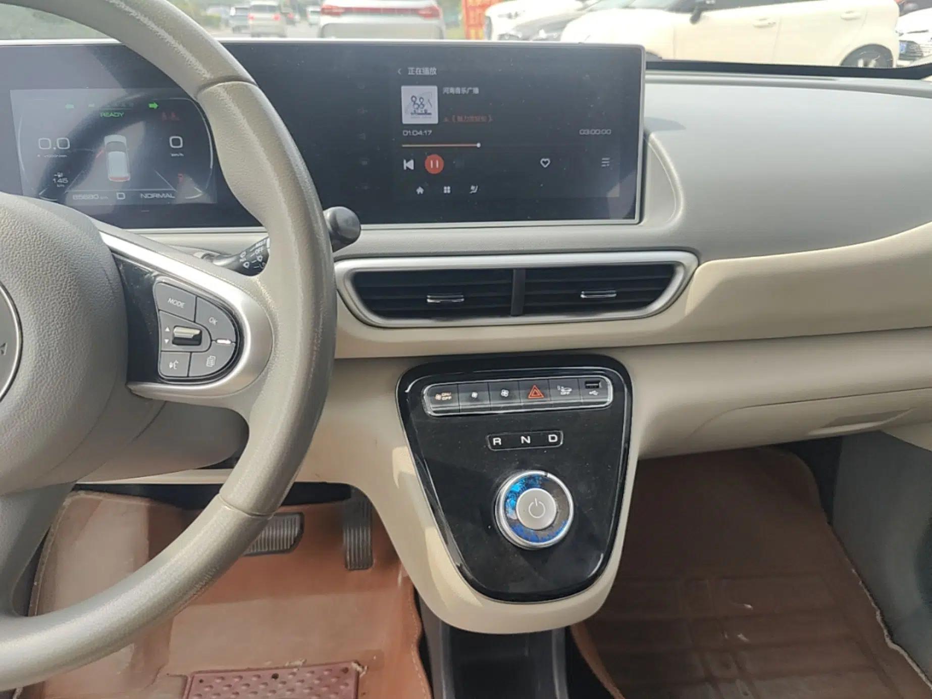 ORA White Cat 2022 Xiaoyue Mao Edition 360 km Luxury Model Lithium NMC — миниатюра 16