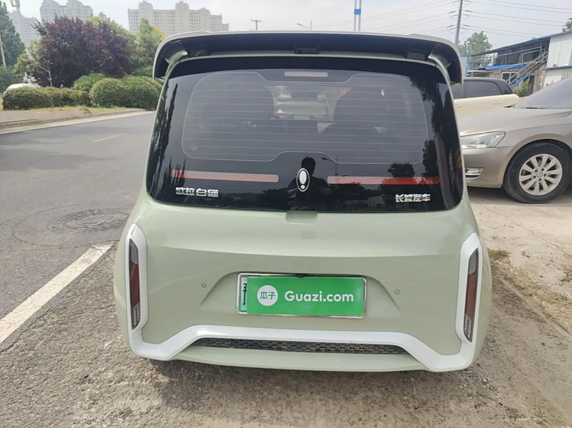 ORA White Cat 2022 Xiaoyue Mao Edition 360 km Luxury Model Lithium NMC — миниатюра 5