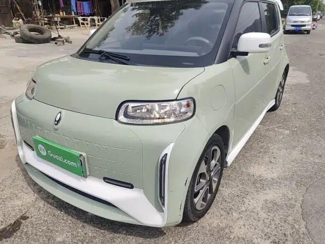 ORA White Cat 2022 Xiaoyue Mao Edition 360 km Luxury Model Lithium NMC