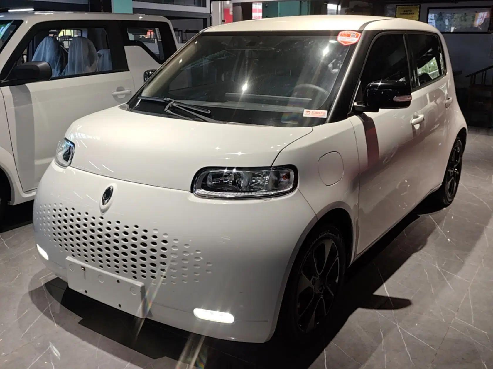 ORA White Cat 2020 305 km Luxury Version — миниатюра 1