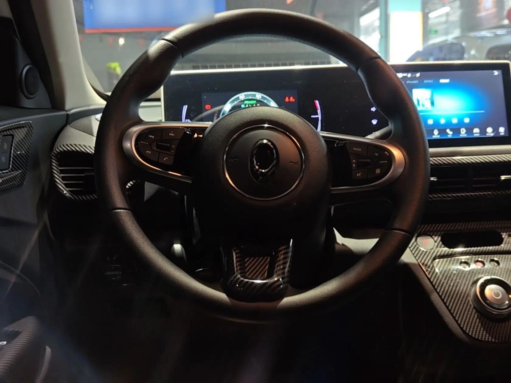 ORA White Cat 2020 305 km Luxury Version — миниатюра 14