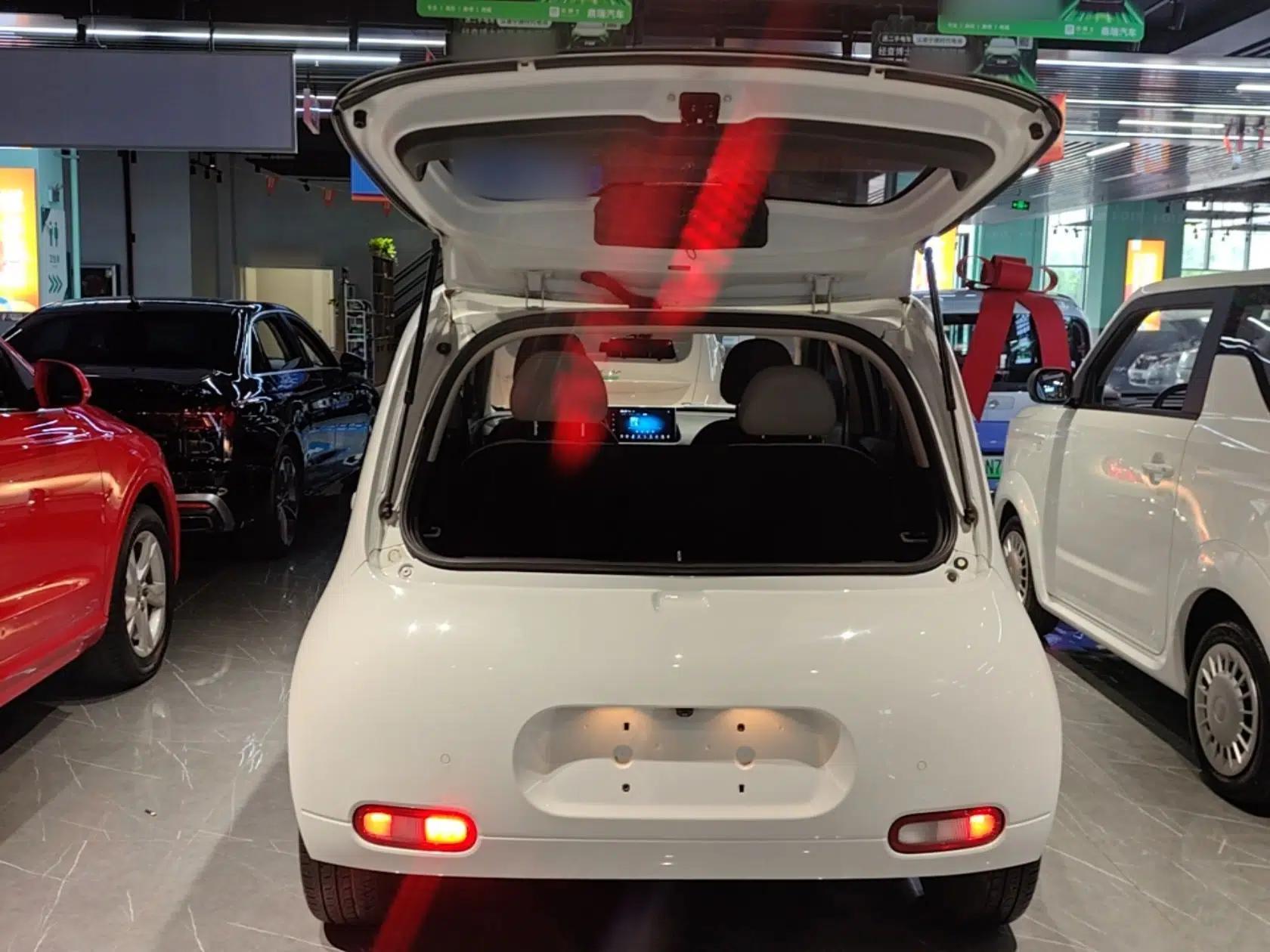 ORA White Cat 2020 305 km Luxury Version — миниатюра 22