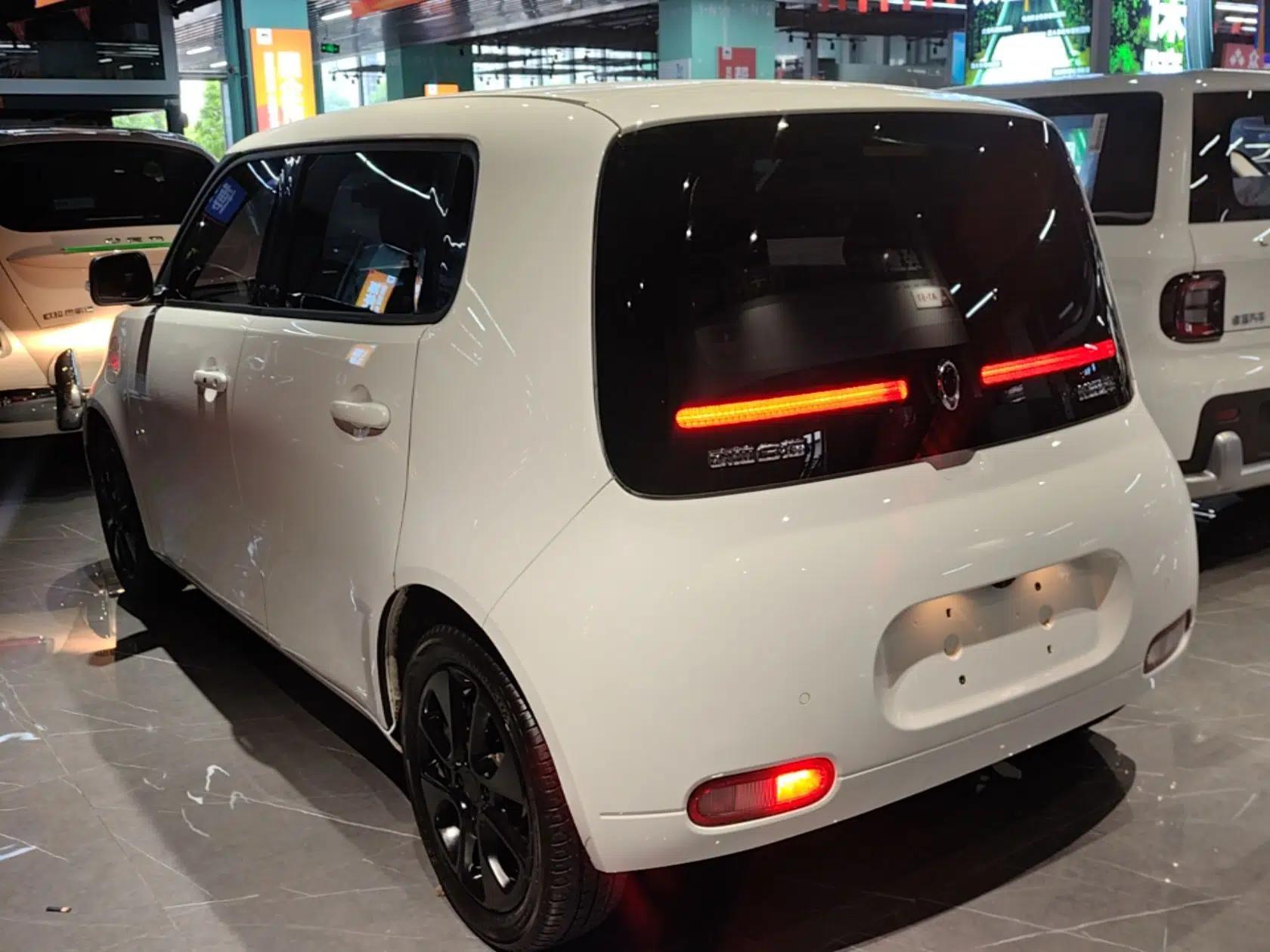 ORA White Cat 2020 305 km Luxury Version — миниатюра 4