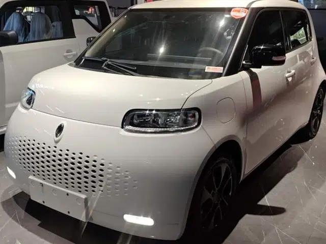 ORA White Cat 2020 305 km Luxury Version