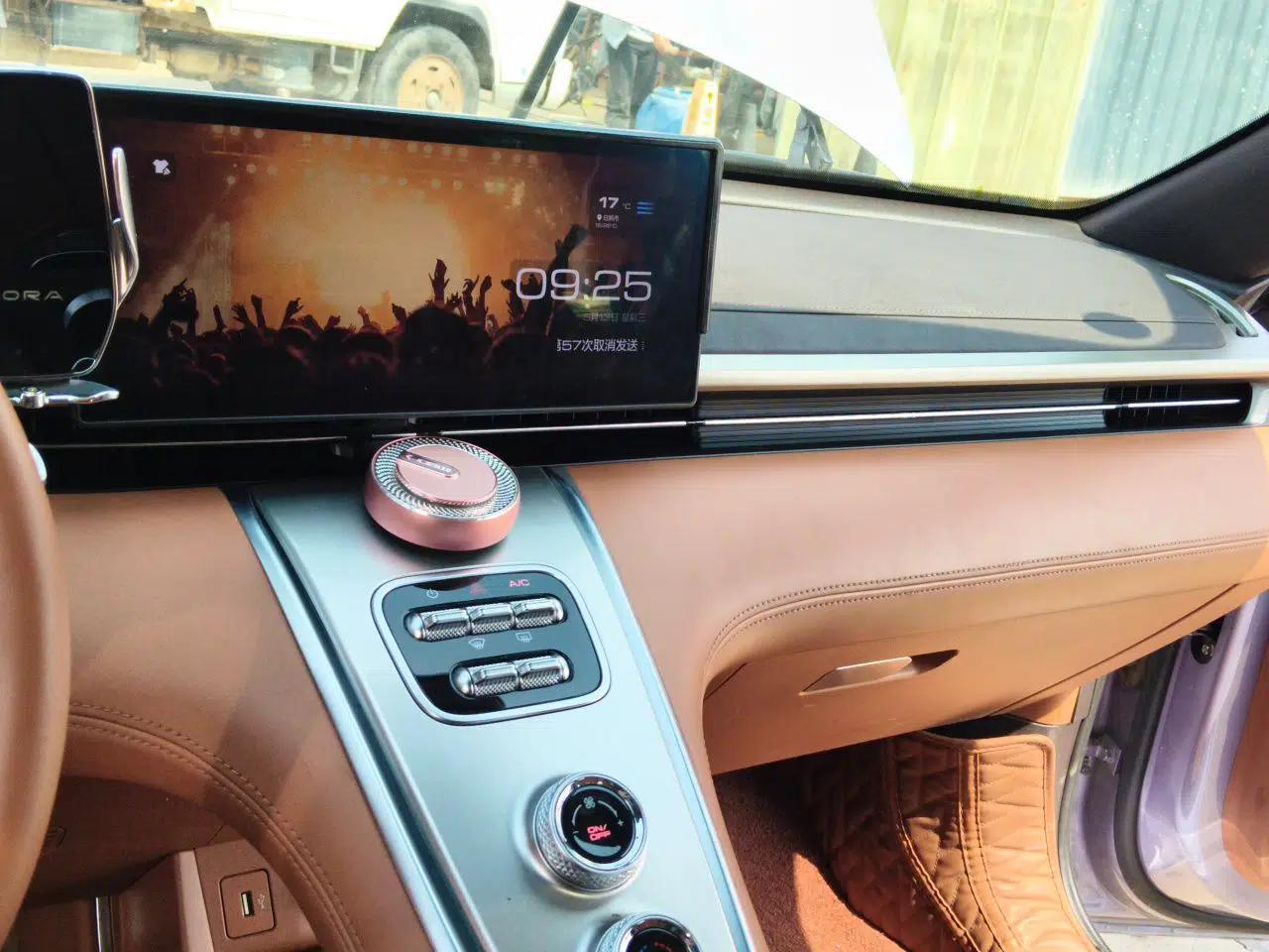 ORA Lightning Cat 2022 555 km Luxury Edition — миниатюра 14