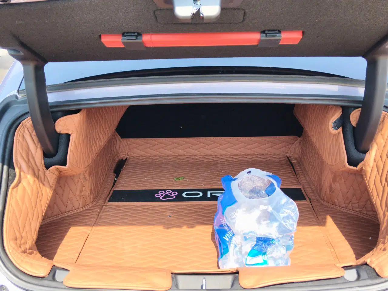 ORA Lightning Cat 2022 555 km Luxury Edition — миниатюра 20