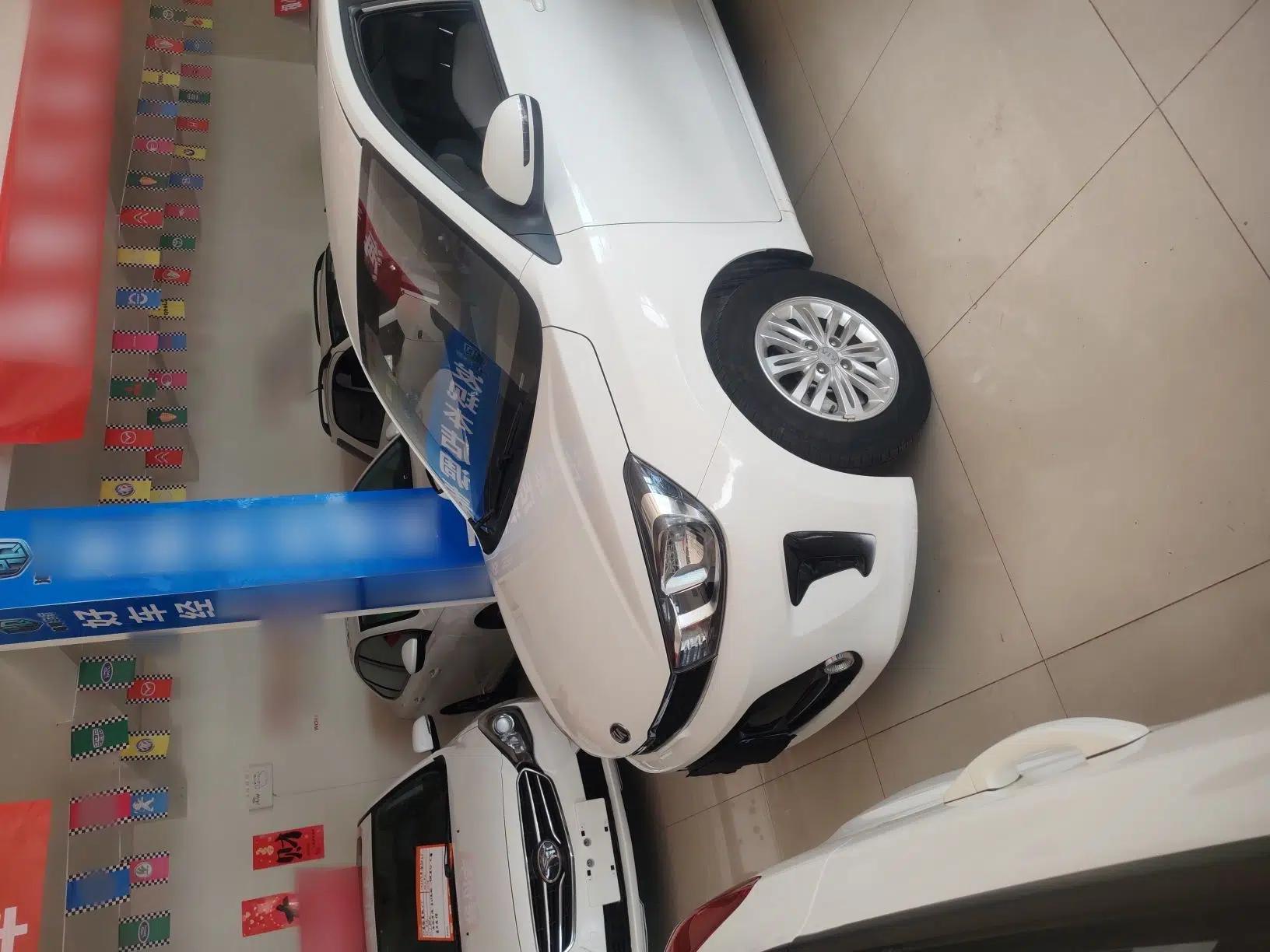 Kia Pegas 2019 1.4L Manual Value Edition National VI Standard — миниатюра 5