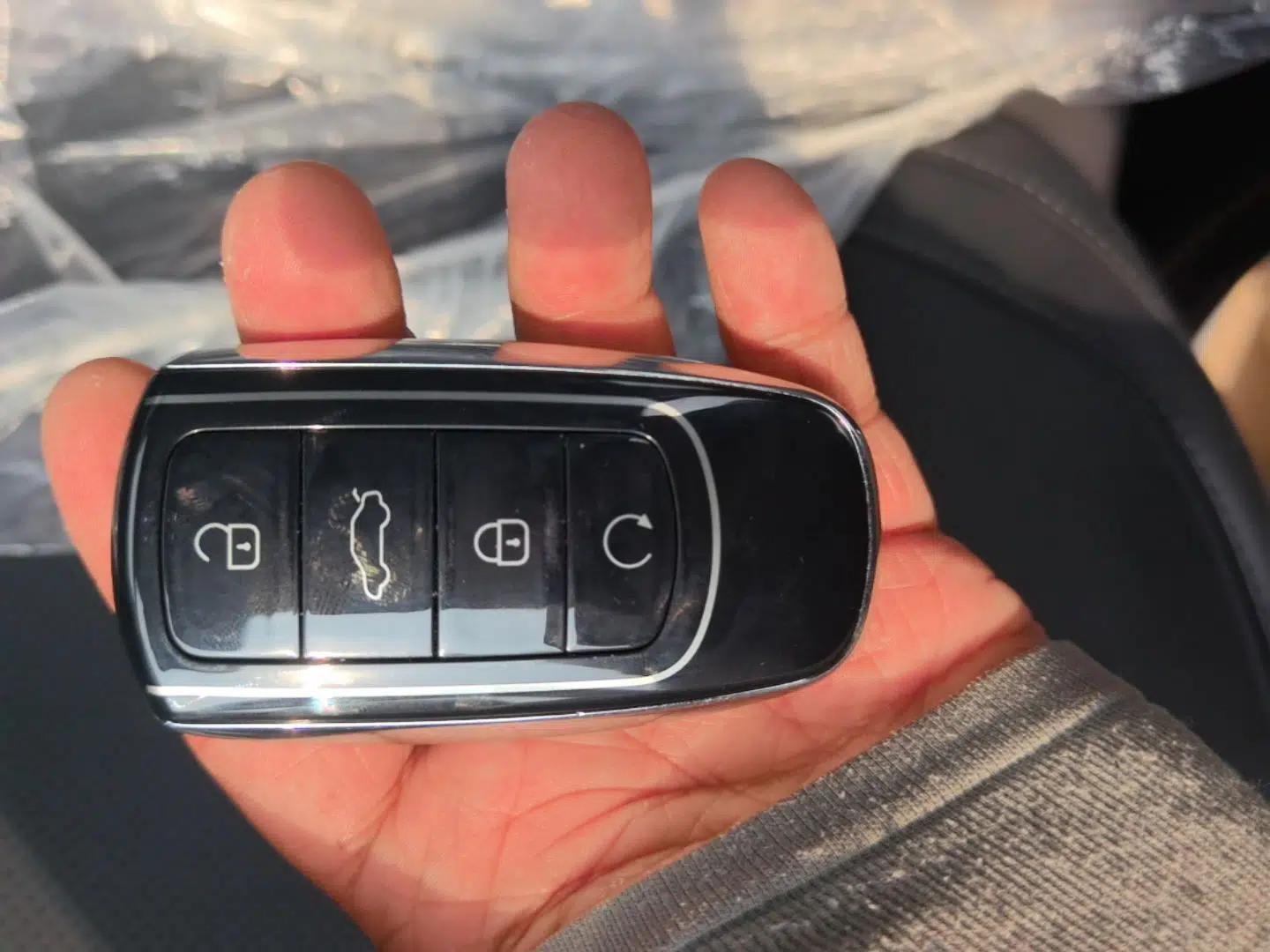 Chery Tiggo 8 PRO New Energy 2024 1.5T 100km XinChen Edition — миниатюра 12