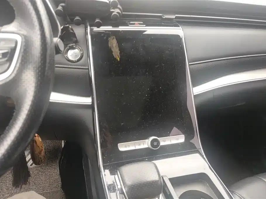 Roewe RX5 MAX 2021 Supreme Series 300TGI Automatic Intelligent Cockpit Premium Edition — миниатюра 12
