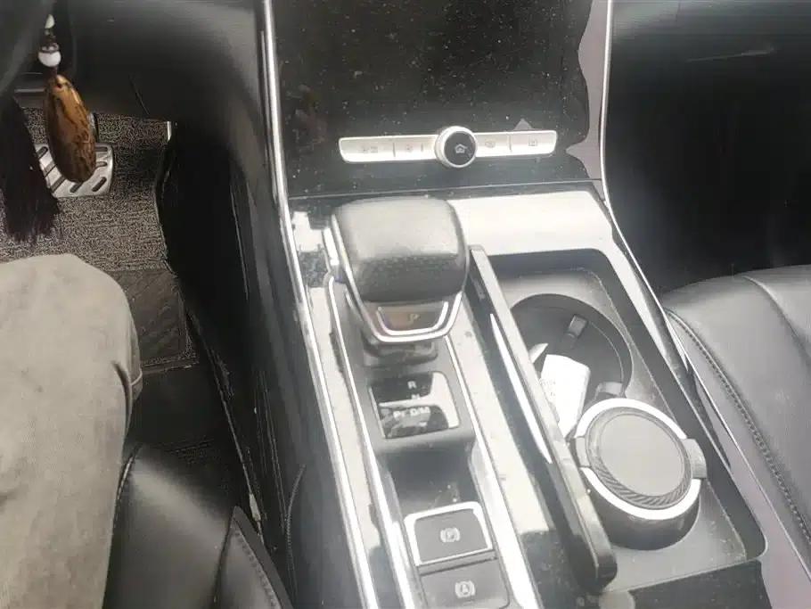 Roewe RX5 MAX 2021 Supreme Series 300TGI Automatic Intelligent Cockpit Premium Edition — миниатюра 15