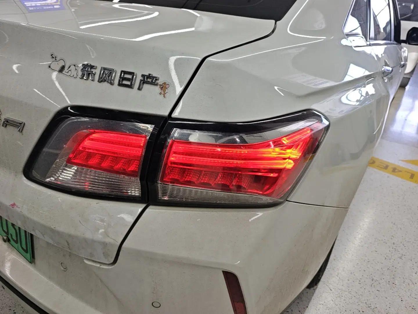 Venucia D60EV 2022 Standard Range T3 — миниатюра 7