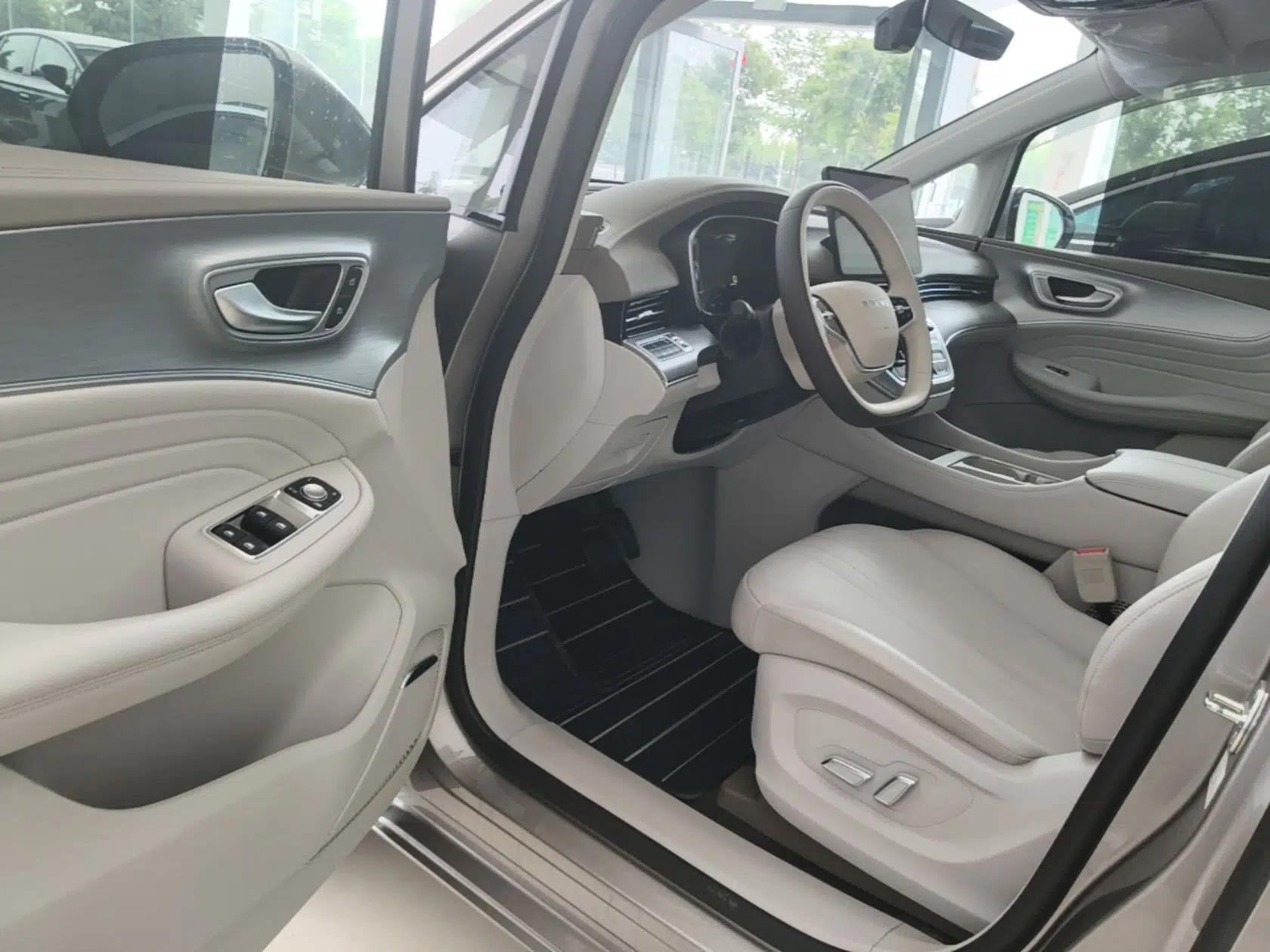 Roewe iMAX8 New Energy 2025 1.5T DMH Lu Zun Deluxe Edition — миниатюра 19